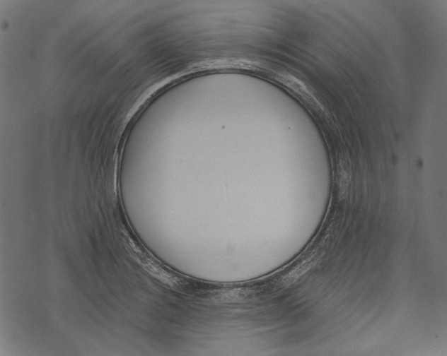 X0000073951228200609181353