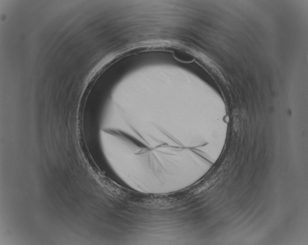 X0000073951229200609181353