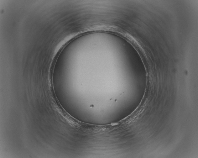 X0000073951230200609181353