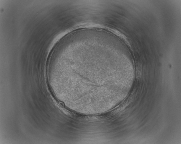 X0000073951231200609181353