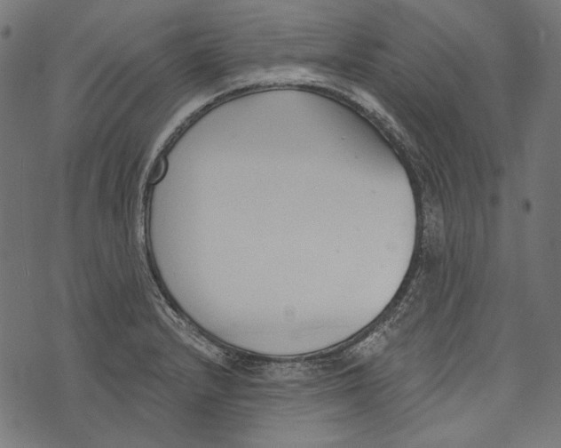 X0000073951232200609181353