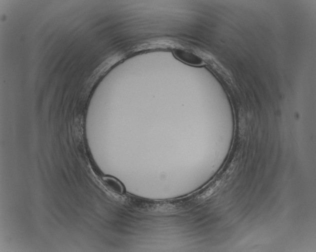 X0000073951233200609181353