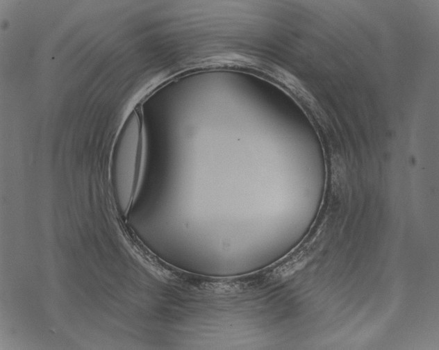 X0000073951234200609181353