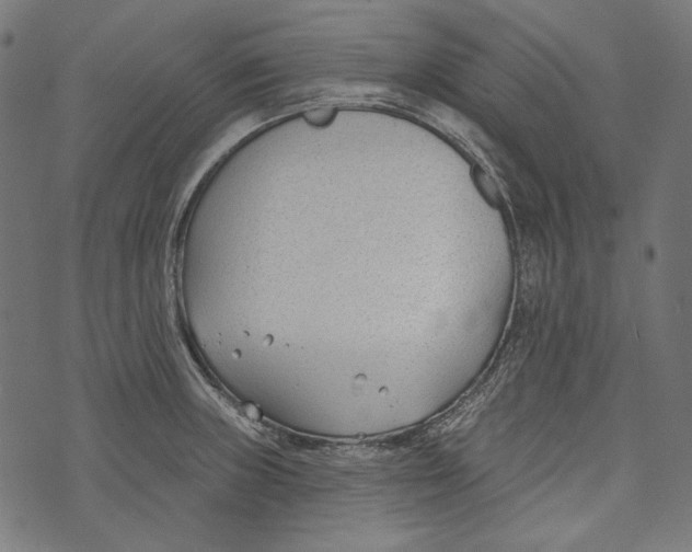 X0000073951235200609181353