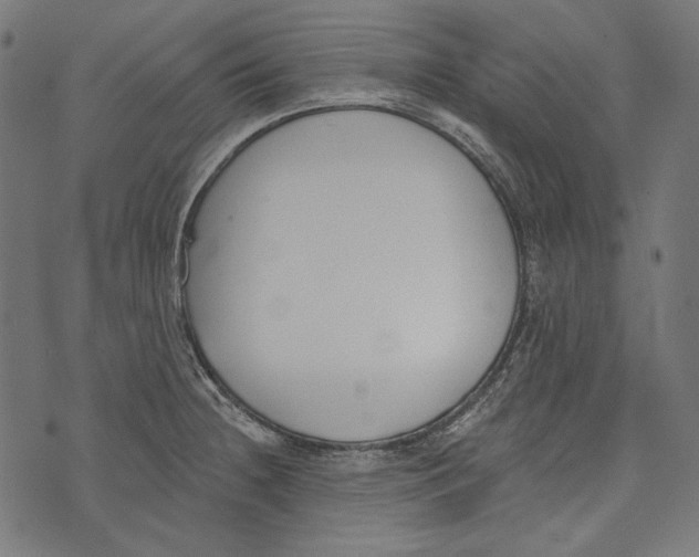 X0000073951236200609181353