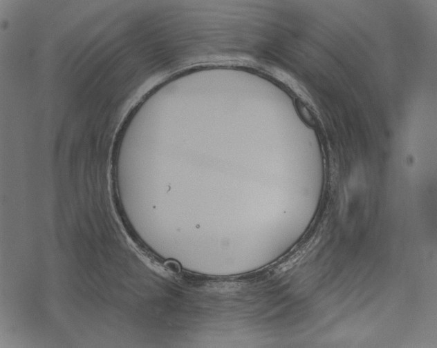 X0000073951237200609181353