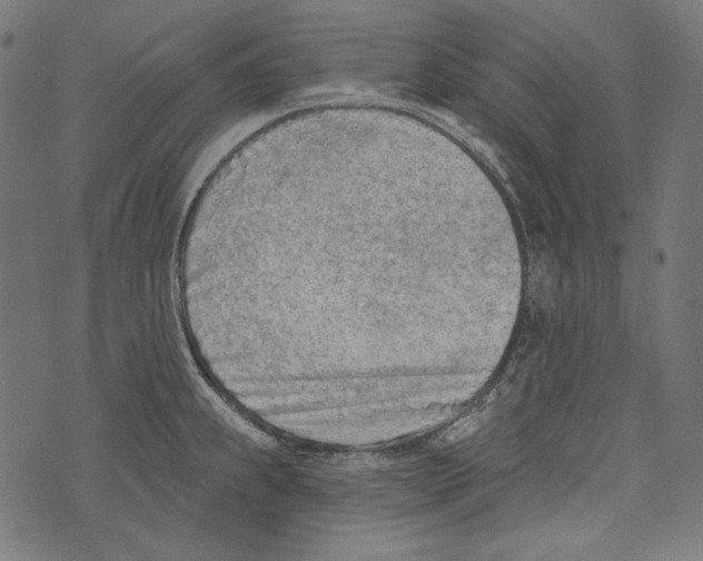 X0000073951239200609181353