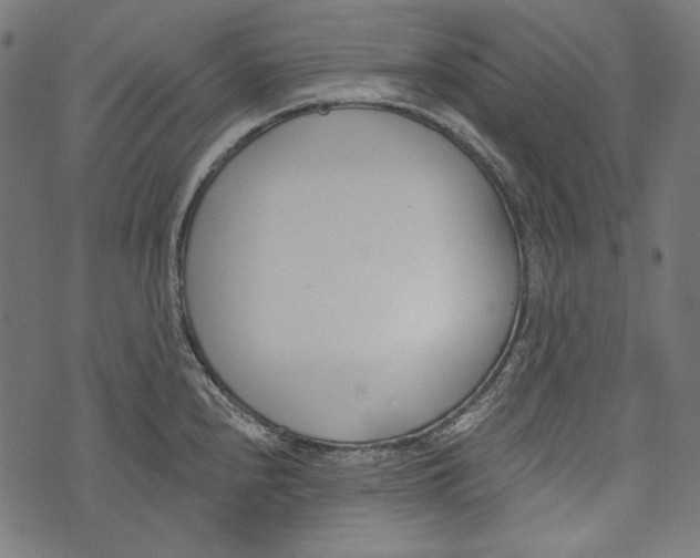 X0000073951240200609181353