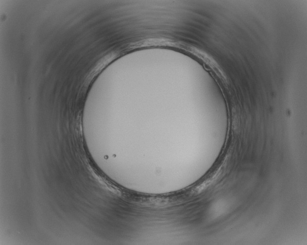 X0000073951241200609181353