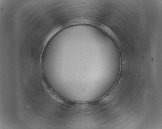 X0000073951242200609181353