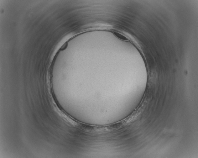 X0000073951243200609181353