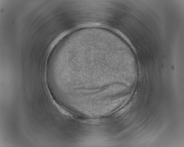 X0000073951245200609181353