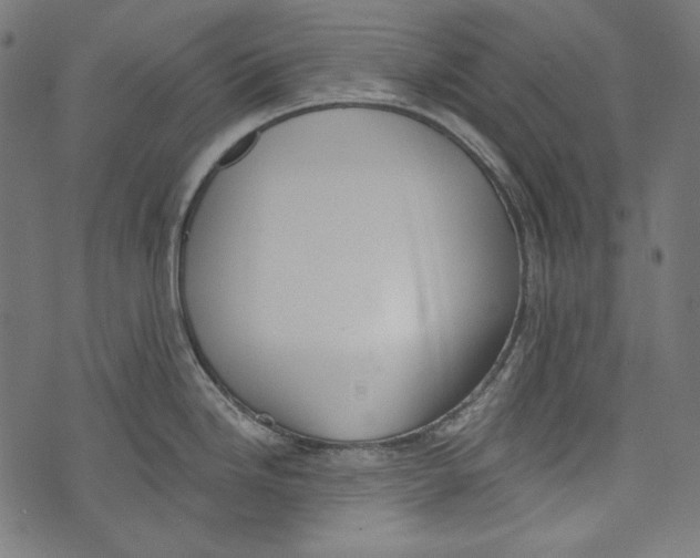 X0000073951246200609181353