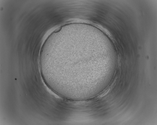 X0000073951247200609181353