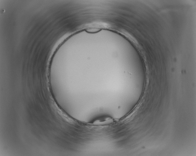 X0000073951248200609181353