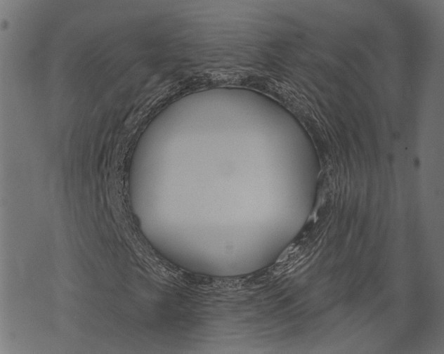 X0000073951249200609181352