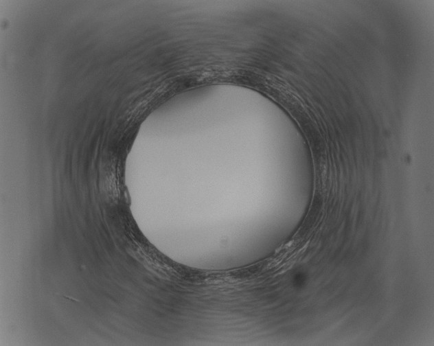 X0000073951250200609181352