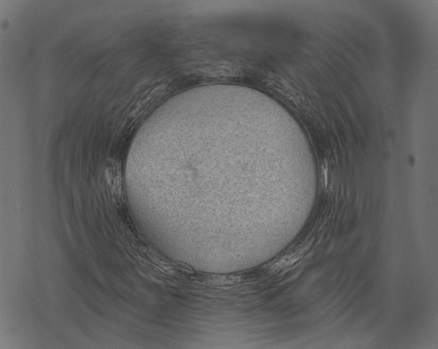 X0000073951251200609181352