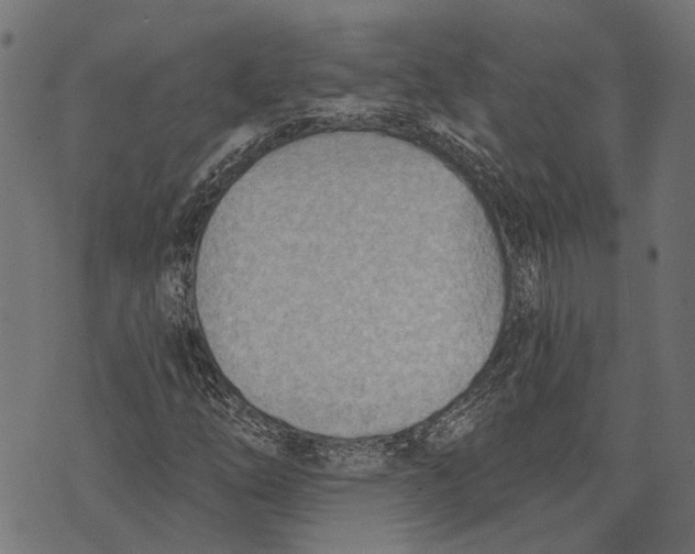 X0000073951254200609181352