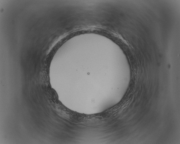 X0000073951256200609181352