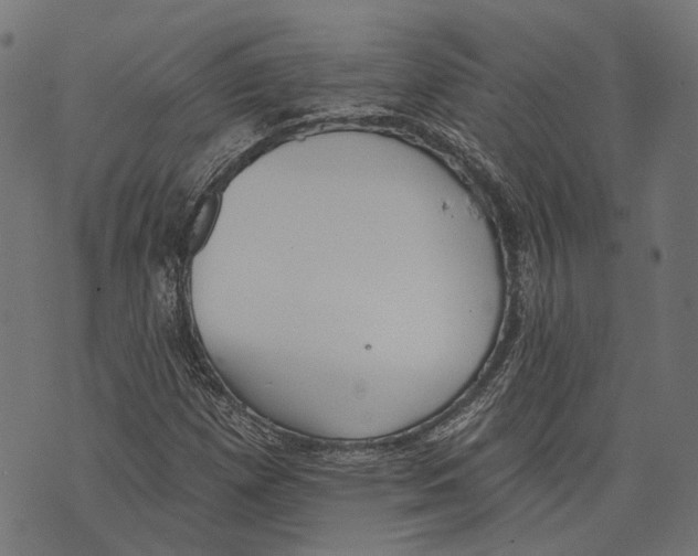 X0000073951257200609181352