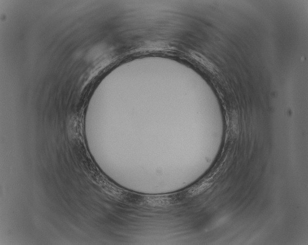 X0000073951258200609181352