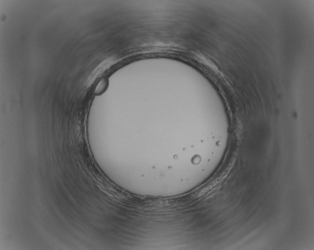 X0000073951259200609181352