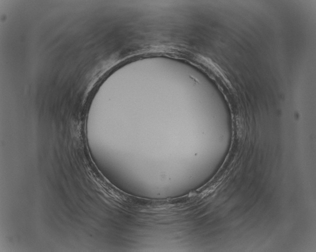 X0000073951260200609181352