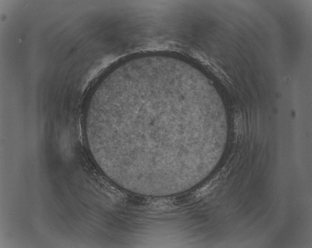 X0000073951262200609181352