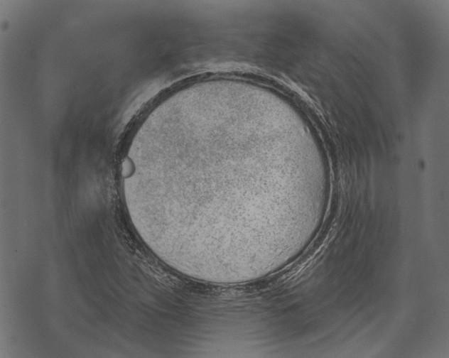 X0000073951263200609181352