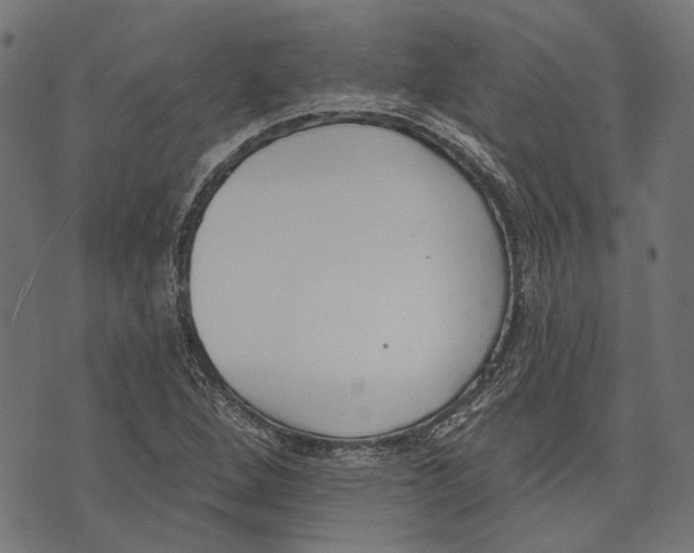 X0000073951264200609181352