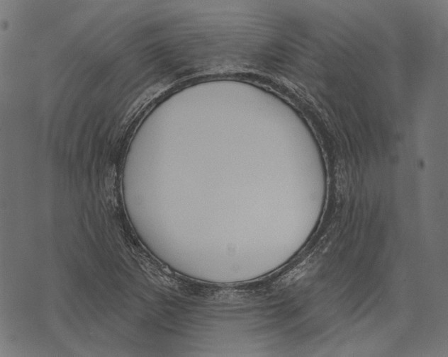 X0000073951265200609181352