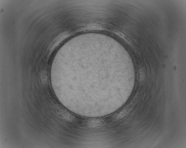 X0000073951266200609181352