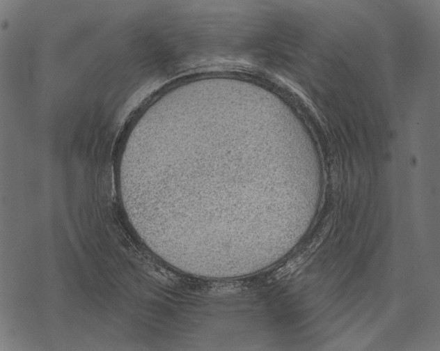 X0000073951267200609181352