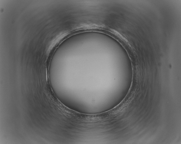 X0000073951269200609181352