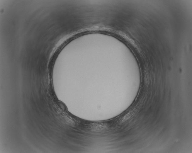 X0000073951270200609181352