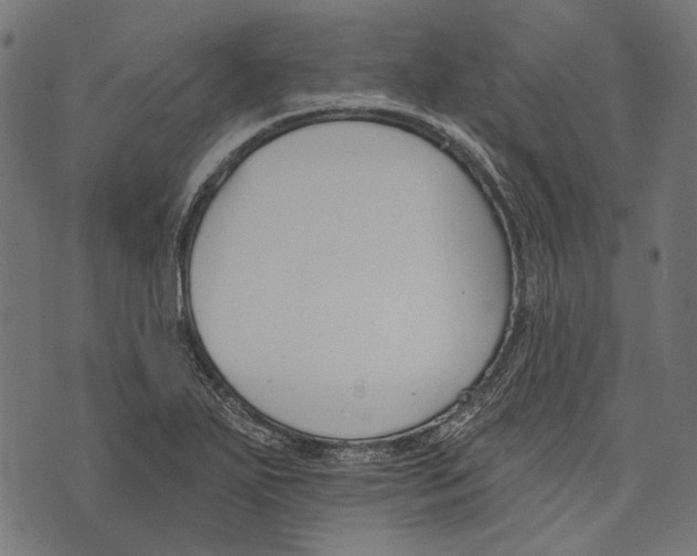 X0000073951271200609181352