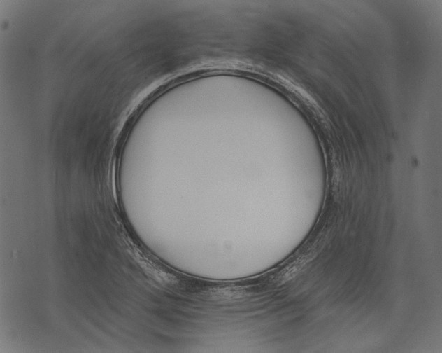 X0000073951272200609181352