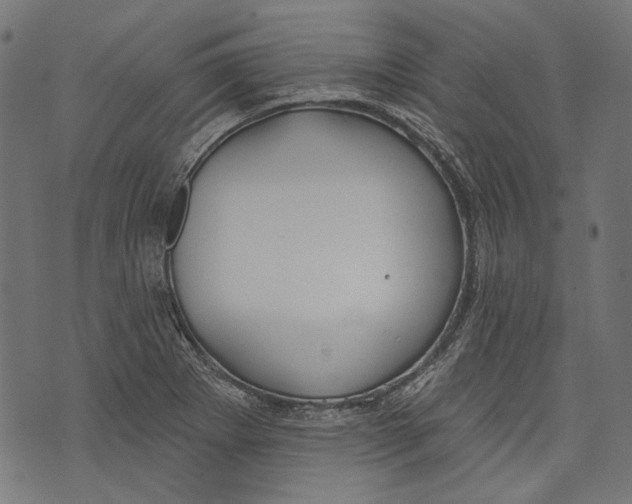 X0000073951273200609181352