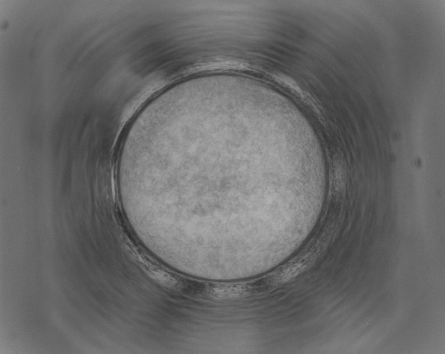 X0000073951274200609181352