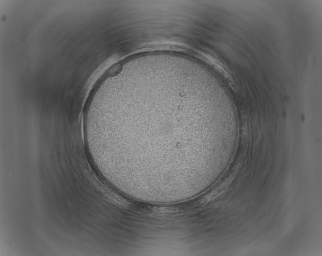 X0000073951275200609181352