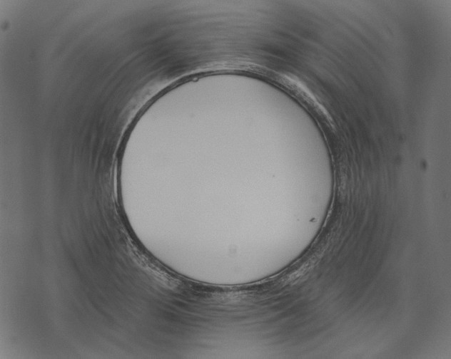 X0000073951276200609181352