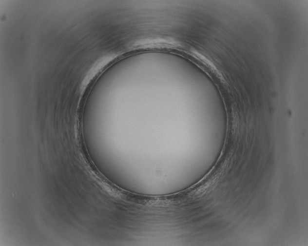 X0000073951277200609181352