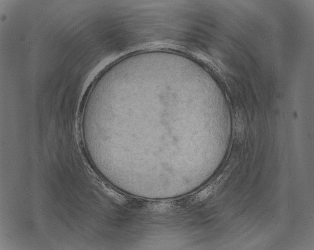 X0000073951278200609181352