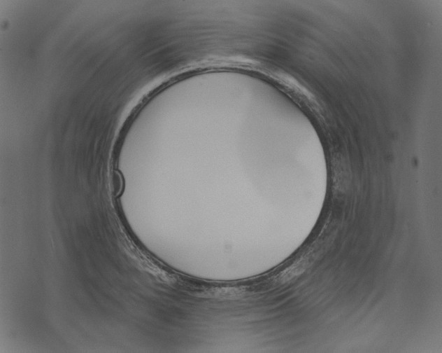 X0000073951280200609181352