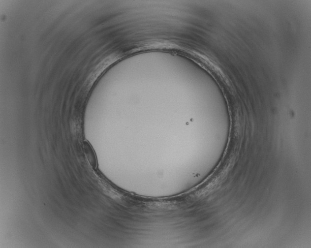 X0000073951281200609181352