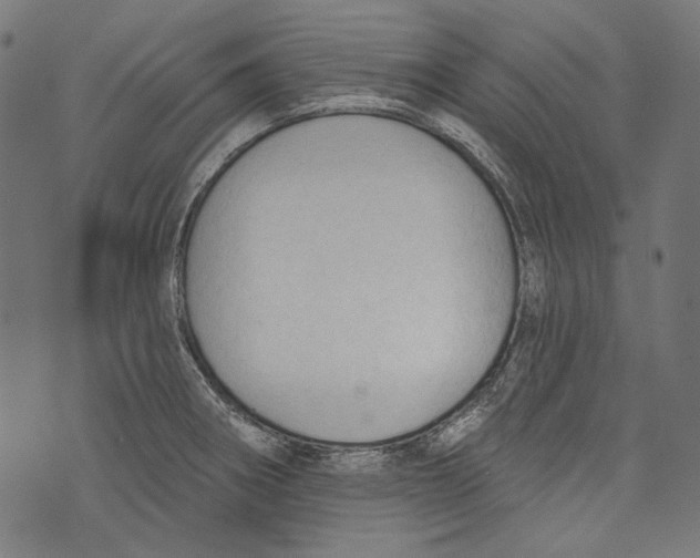 X0000073951282200609181352