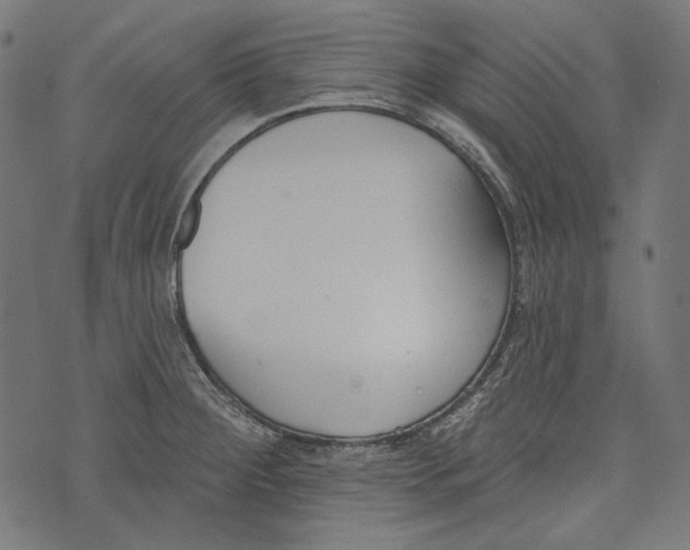 X0000073951284200609181352