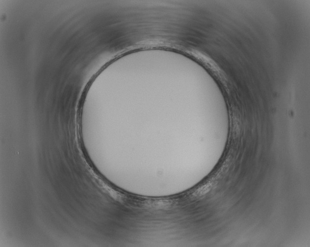 X0000073951286200609181352