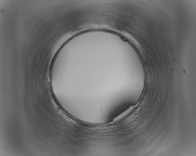 X0000073951287200609181352